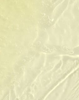 Undaria Algae™ Body Wash